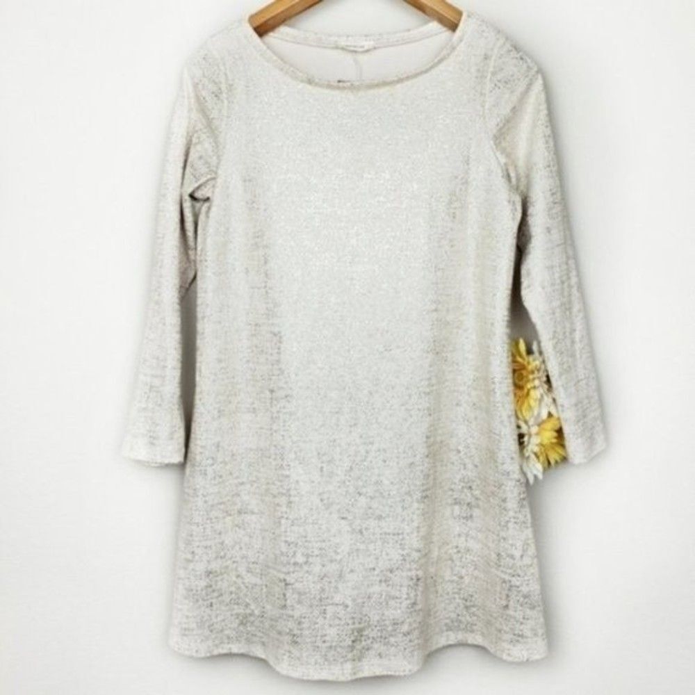 Adrienne holiday shiny shift dress size small